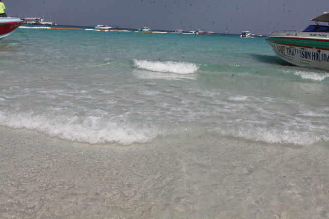IMG_8993.JPG