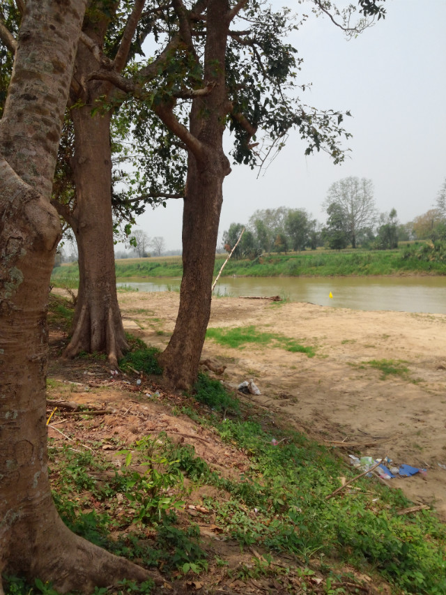 CAM01254.jpg