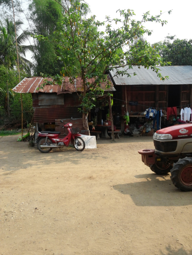 CAM01229.jpg