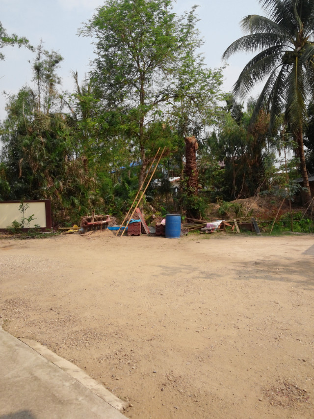 CAM01230.jpg