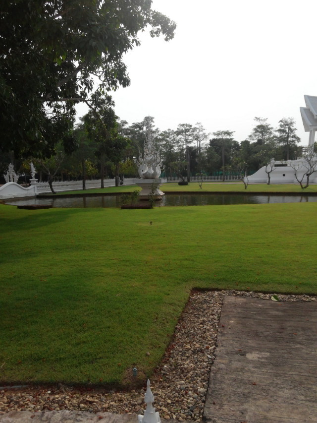 CAM01305.jpg