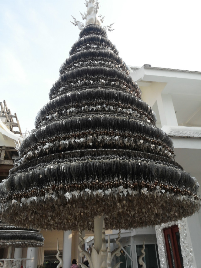 CAM01313.jpg