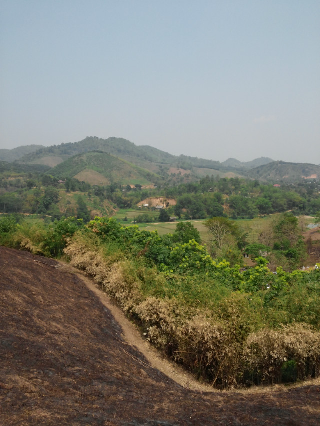 CAM01371.jpg