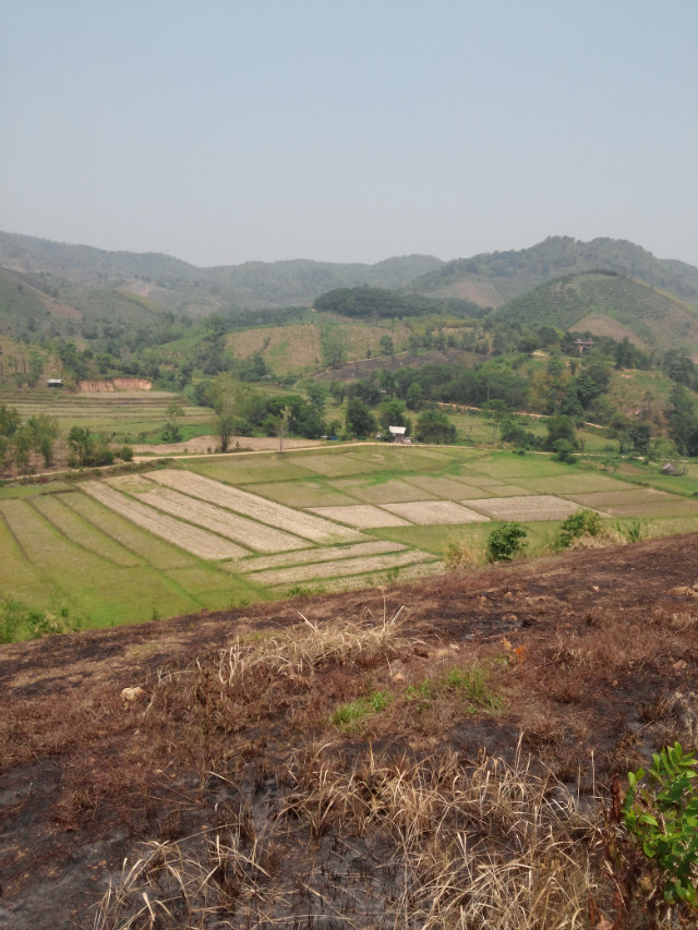 CAM01374.jpg