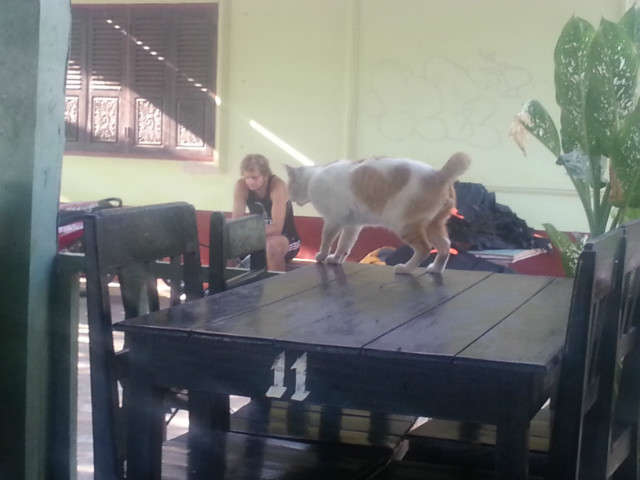 20150206_084017.jpg