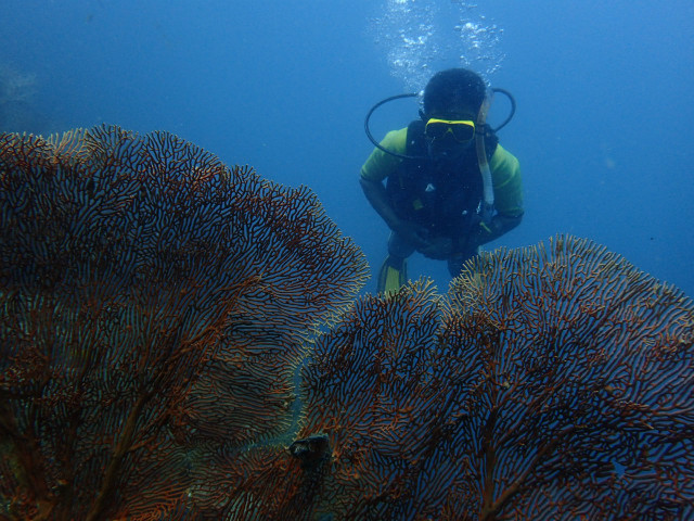 P2130113.JPG