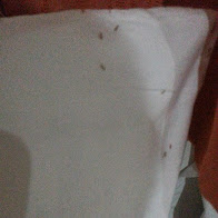 20150215_042624.jpg
