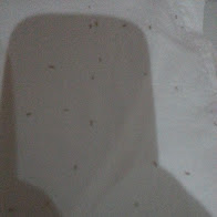 20150215_042736.jpg