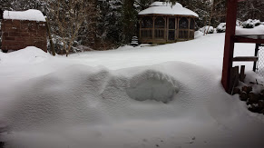 20150302_090251.jpg