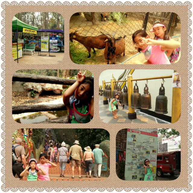 PhotoGrid_1427307853922.jpg