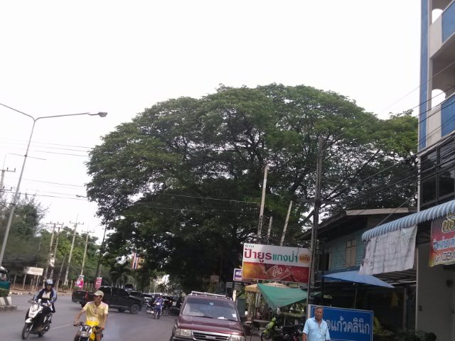 IMG1488.jpg