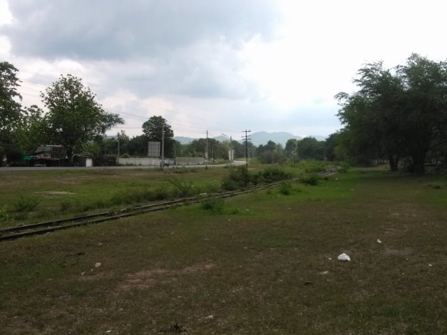 IMG1490.jpg