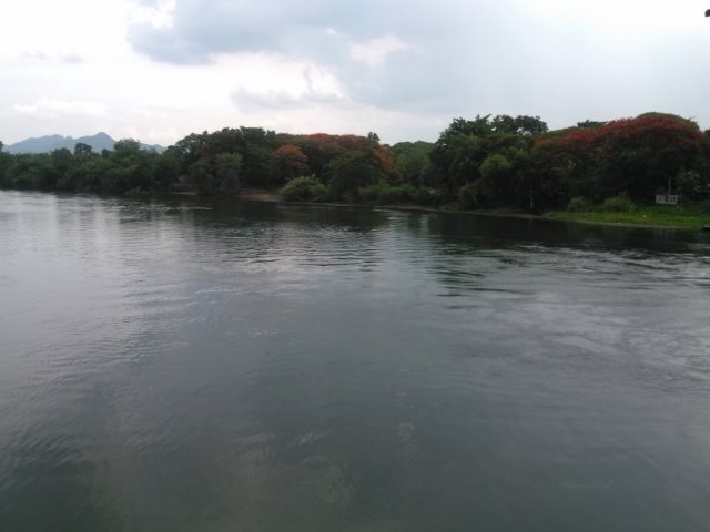 IMG1513.jpg