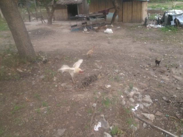 IMG1579.jpg