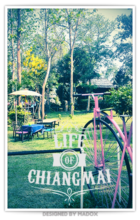 life of chiangmai_4.jpg