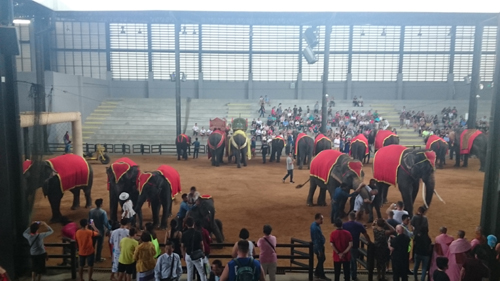 ff07b9892d57e38810cb59655efd04cb_1486014950_54.jpg