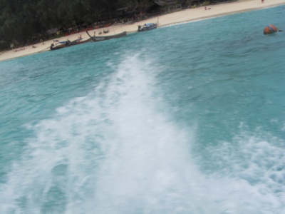 1490647693_d7495f30_7.jpg