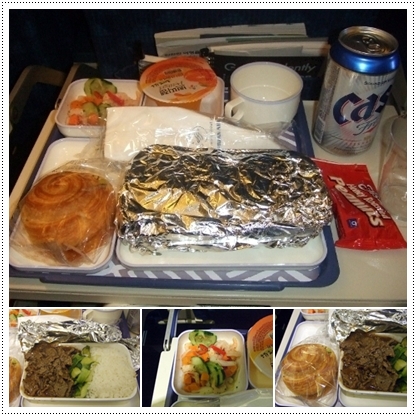 1926072951_0ebf6812_01.in-flight-food.jpg