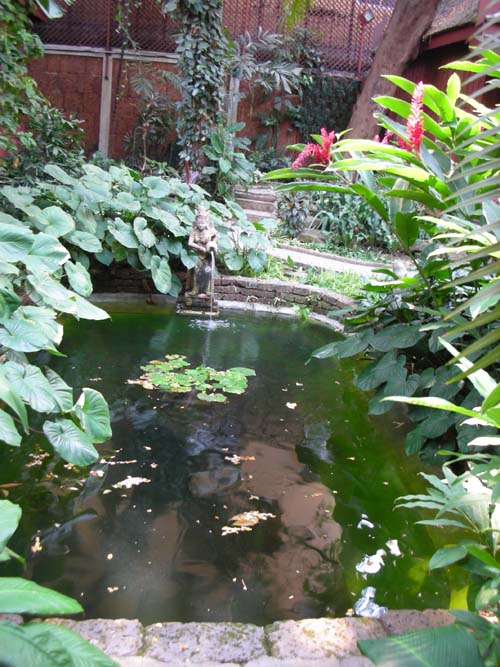 1948546218_4ae2e697_thai%2B8.jpg