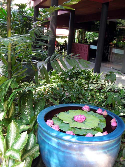 1948546218_5b04d0a2_thai%2B3.jpg