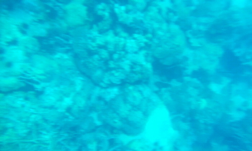 1954383881_sokQMvrY_C5A9B1E2BAAFC8AF_p4C0CFC2F7_283829.jpg