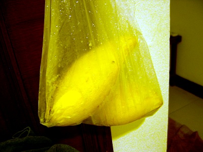 1994058829_0d141517_B8C1B0ED.jpg