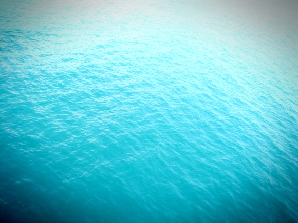 1994058829_8d03b06b_B9D9B4E5B9B0.jpg