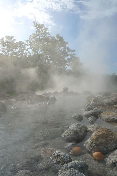 2009396938_3a6ed993_P1020373.JPG
