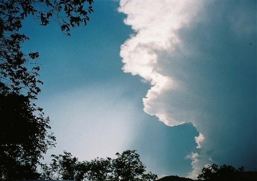 2038637511_9a17390a_15.jpg