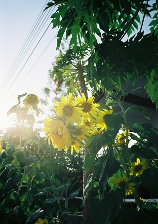 2039275131_70afcd9d_30.jpg