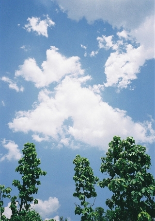2039275131_d3a390c6_25.jpg