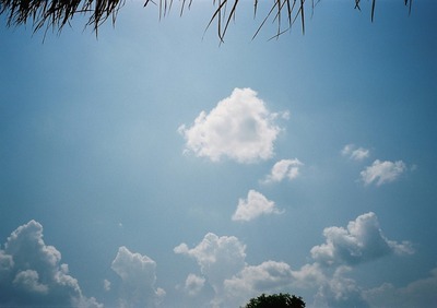 2039275257_c00fdc97_17.jpg