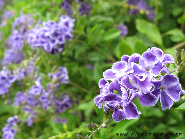 2090719961_002a204f_view%2B281329.JPG
