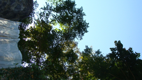 2090724867_58f69a60_C5A9B1E2BAAFC8AF_DSC01769.JPG