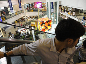 2108743617_d0f3e137_14-15.jpg