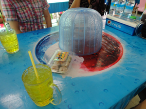 2108743626_35f4b008_4-44.jpg