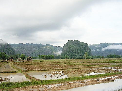 577266255_9ab9da9d_DSCN2498.JPG