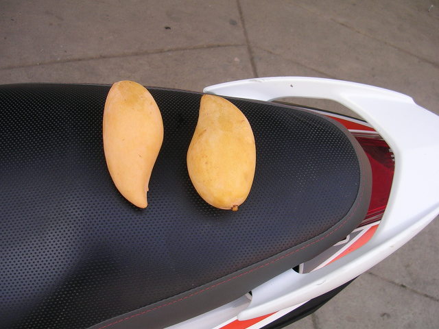 577266255_d3ddb926_DSCN1636.jpg