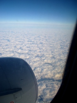 630879433_9f9671cb_SS100765.JPG