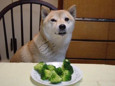 739389372_07377777_brocolli.jpg