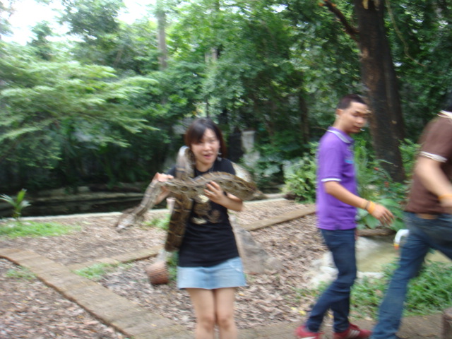 747280659_d4dd5cdb_DSC04238.JPG