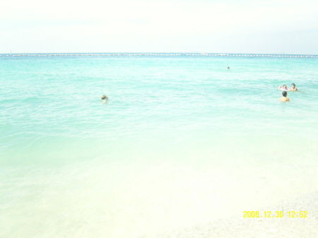 747834755_79fe92a0_C5A9B1E2BAAFC8AF_SNC18432.JPG