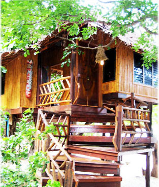 748150986_414c8231_treehut.jpg