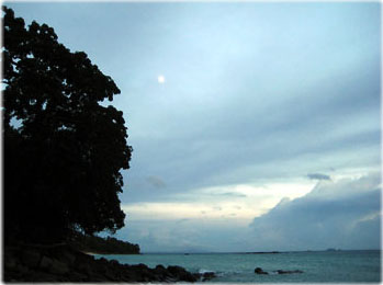 748150986_45879e97_Untpy.jpg