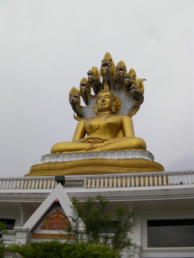 982608122_94492356_300kSANY0072.JPG