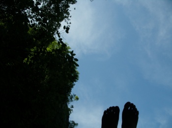988348525_26a8460d_4.jpg