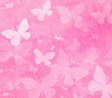 988348525_40d9e3de_15.jpg