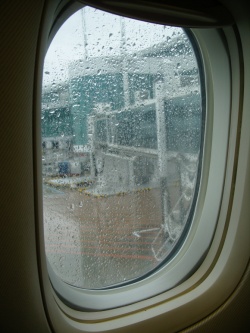 988348525_4c6d4106_3.jpg