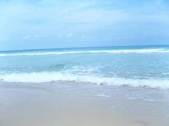 988348525_c24f77e2_22.jpg