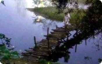 988348525_ca996c68_88.jpg